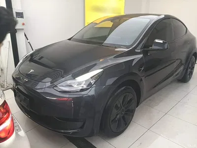 2024 Tesla Model Y Rear-Wheel Drive Version, фото 1, лот 10674338