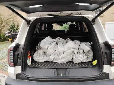2021 Haval Big Dog 2.0T DCT 2WD Chinese Hound Edition, фото 4, лот 10376183