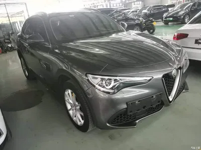 2017 Alfa Romeo Stelvio 2.0T 200HP Luxury Edition, фото 4, лот 10598399