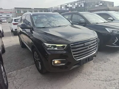 2020 Haval H6 1.5GDIT Automatic Platinum Champion Edition, фото 4, лот 10389980