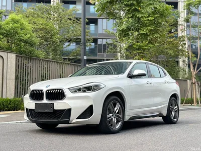 2022 BMW X2 sDrive25i M Sport Package, фото 1, лот 11139394