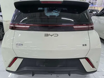2024 BYD Seagull Glory Edition 305km Vitality Edition, фото 4, лот 11191179