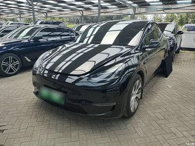 2021 Tesla Model Y Standard Range Rear-Wheel Drive, фото 1, лот 10370332