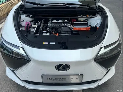 2023 Lexus RZ 450e 4WD Expedition Edition, фото 2, лот 10319087