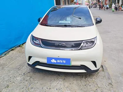 2024 BYD Dolphin Glory Edition 420km Fashion Edition, фото 2, лот 10616511