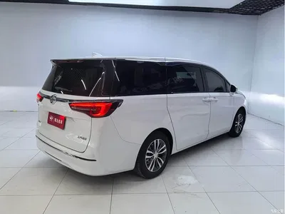 2021 Buick GL8 ES Landlord 653T Comfort, фото 4, лот 10256257