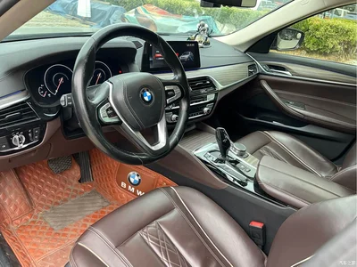 2019 BMW 5 Series New Energy Facelift 530Le Luxury Package, фото 4, лот 11174598