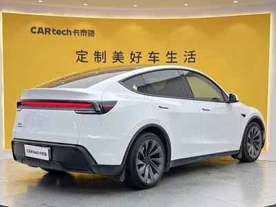 2026 Tesla Model Y Long Range All-Wheel Drive, фото 4, лот 11249488
