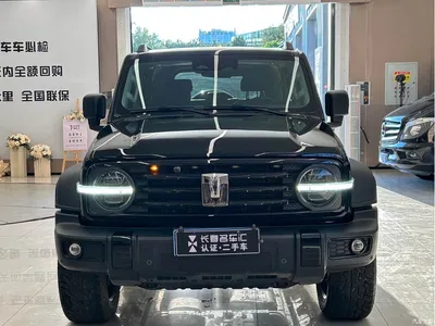2021 Tank 300 Off-road Version 2.0T Conqueror, фото 2, лот 10449986
