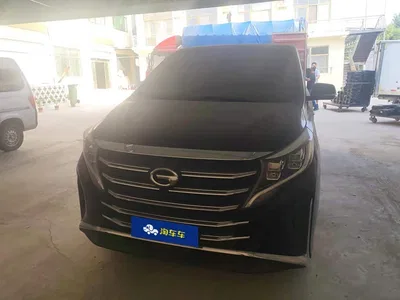 2021 GAC Trumpchi Trumpchi M8 Leading Show Series 390T Premium Edition, фото 2, лот 10955068