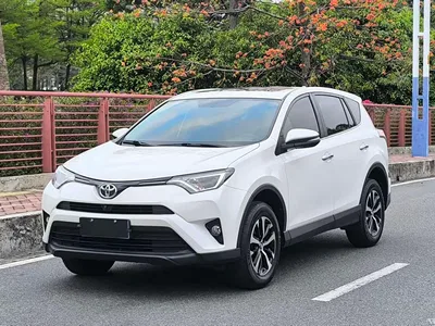 2016 Toyota RAV4 Rongfang 2.0L CVT 2WD Trend (China V), фото 1, лот 10277738