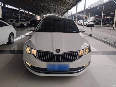 2019 Škoda Octavia 1.5L Automatic Smart Luxury China VI, фото 3, лот 10348271