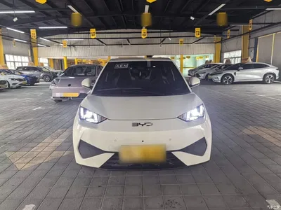 2025 BYD Seagull Smart Drive Edition 305km Freedom Version, фото 3, лот 10262744