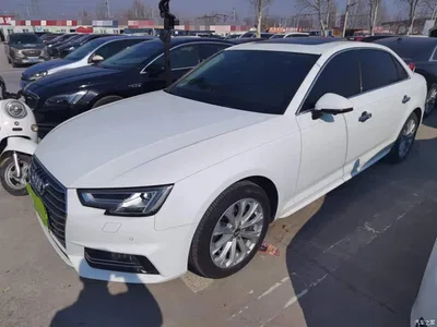 2019 Audi A4L 40 TFSI Progressive (China VI), фото 2, лот 10439870