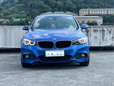 2017 BMW 3 Series GT 320i M Sport, фото 2, лот 10766362