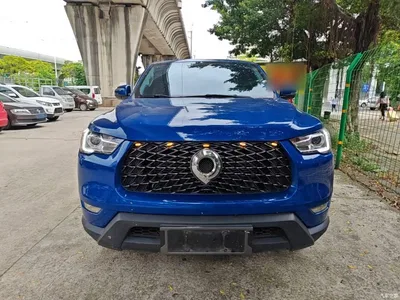 2021 Great Wall Pao 2.0T Commercial Edition Automatic Diesel 2WD Elite Long Box GW4D20M, фото 3, лот 10246321