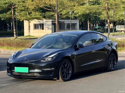 2021 Tesla Model 3 Performance High-Performance All-Wheel Drive, фото 1, лот 11535509