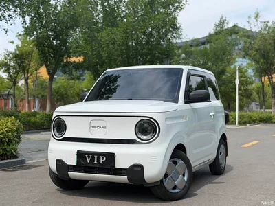2024 Geely Galaxy Panda mini 200km Endurance Bear, фото 1, лот 10432264