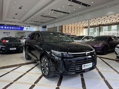 2022 AITO Wenjie AITO M7 1.5T RWD Comfort Edition, фото 4, лот 10278640
