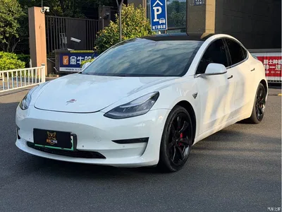 2019 Tesla Model 3 (Import) Performance High-Efficiency All-Wheel Drive Version, фото 1, лот 10397763