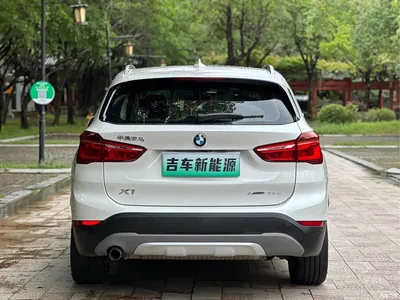 2018 BMW X1 New Energy xDrive25Le Luxury Model, фото 4, лот 10475367