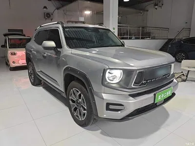 2023 Haval Second-Generation Big Dog New Energy DHT-PHEV 105km Trend Electric Edition, фото 4, лот 11192308