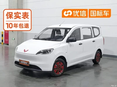 2024 Wuling Motors Wuling Hongguang New Energy Model Pure Electric 300KM Utility Version, фото 1, лот 11167518