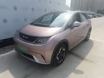 2021 BYD Dolphin Model 405km Fashion Edition, фото 1, лот 11190093