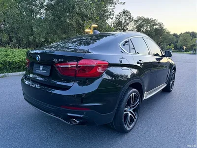 2015 BMW X6 xDrive35i Luxury Model, фото 4, лот 10469568