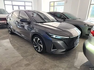 2023 Changan Ruicheng PLUS 1.5T DCT Navigation Edition, фото 4, лот 10273465