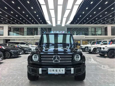 2019 Mercedes-Benz G-Class Facelift G 500, фото 2, лот 10888388