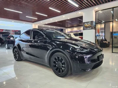 2022 Tesla Model Y Facelift Rear-Wheel Drive Version, фото 3, лот 11539479