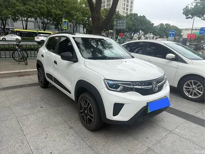 2022 Dongfeng Yipai Dongfeng Nano EX1 PRO Joy Comfort Edition, фото 3, лот 11188202