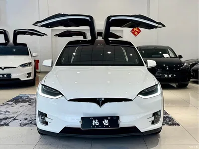 2017 Tesla Model X 100D Long Range, фото 2, лот 10455256