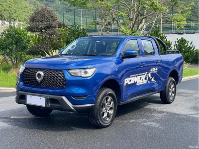 2021 Great Wall Pao 2.0T Commercial Edition Automatic Diesel 4WD Elite Long Box GW4D20M, фото 1, лот 10246065