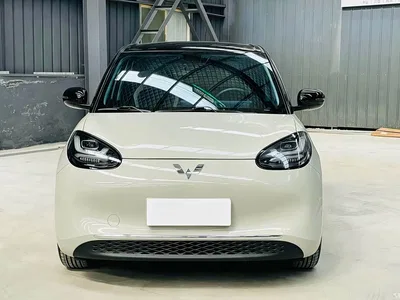2024 Wuling Motors Wuling Bingo 410km Smart Premium Edition, фото 2, лот 10360813