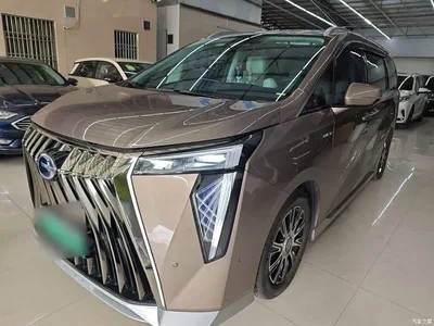 2023 GAC Trumpchi Trumpchi E9 E9 Grandmaster, фото 1, лот 11459962