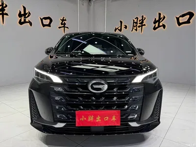2021 GAC Trumpchi Trumpchi M6 PRO 270T Automatic Luxury Edition, фото 2, лот 10416549