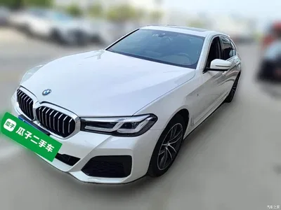 2022 BMW 5 Series Model Second Facelift 525Li M Sport Package, фото 3, лот 10766529