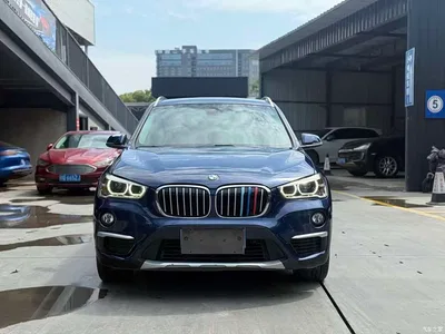 2019 BMW X1 sDrive18Li Premium Model, фото 2, лот 10466331