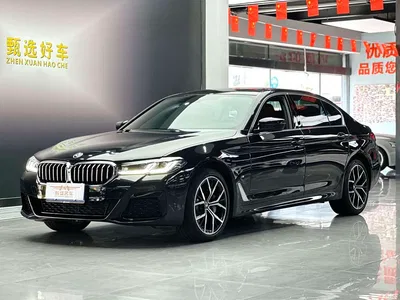 2021 BMW 5 Series Facelift 530Li Premium M Sport Package, фото 1, лот 11556103