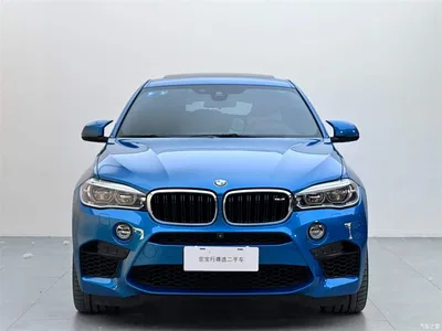 2015 BMW X6 M, фото 2, лот 10423167