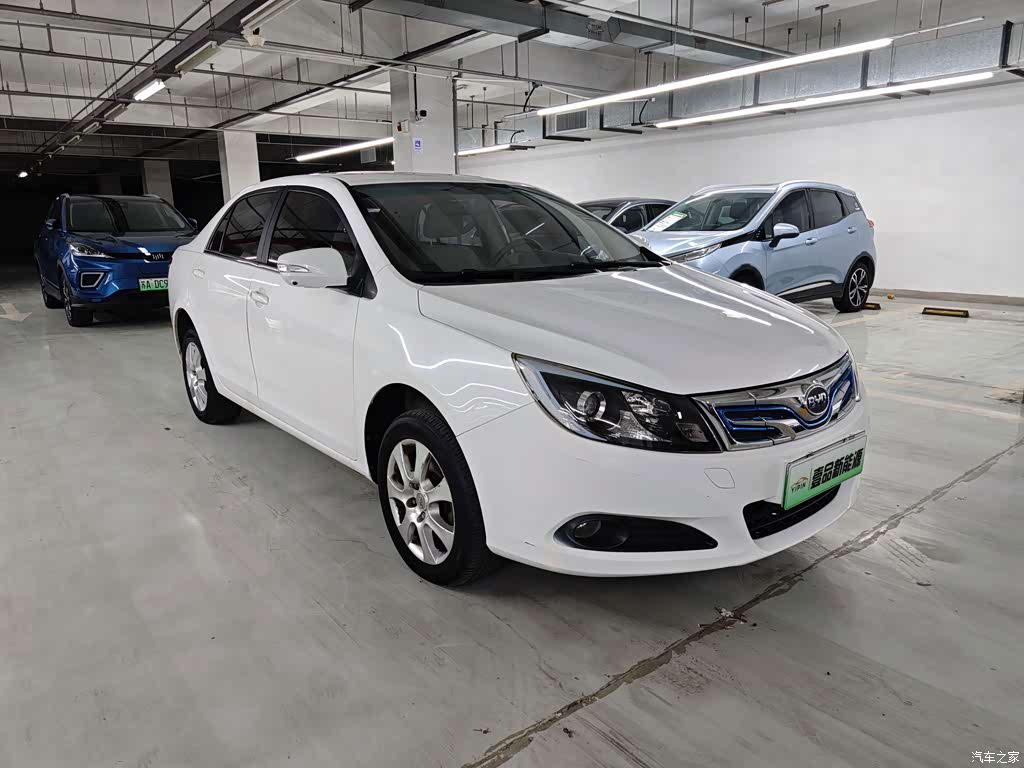 2017 BYD e5 300 Premium, фото 3, лот 10251519