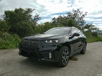 2020 WEY VV7 New Energy PHEV 2.0T Flagship Model, фото 3, лот 11179434
