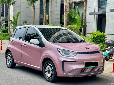 2021 Sehol Flower Fairy 302km Luxury 30.2kWh, фото 3, лот 11153505