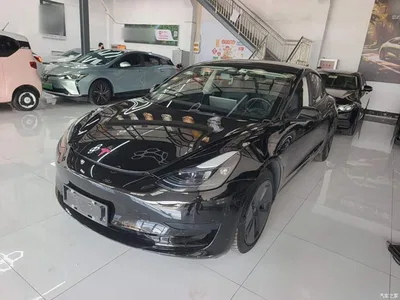 2022 Tesla Model 3 Model Rear-Wheel Drive Version, фото 2, лот 10370703