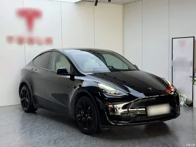 2022 Tesla Model Y Rear-Wheel Drive Version, фото 4, лот 10455495