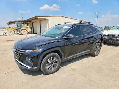 2022 HYUNDAI TUCSON BLUE, фото 1, лот 10750662