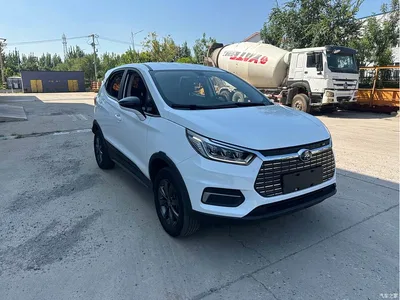 2019 BYD Yuan New Energy EV535 Smart Connected Trend Leader Type, фото 3, лот 10273606