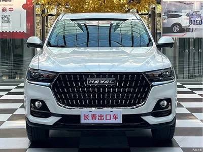 2023 Haval H6 National Trend Edition 1.5T Automatic Champion, фото 2, лот 10414967